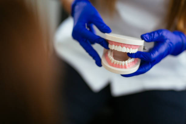 Professional Holistic Dental Care Services in Conneaut, OH